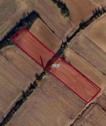 EMLAKYAP TAN KIRKLARELİ KAVAKLI DA 3450 M2 SATILIK TARLA