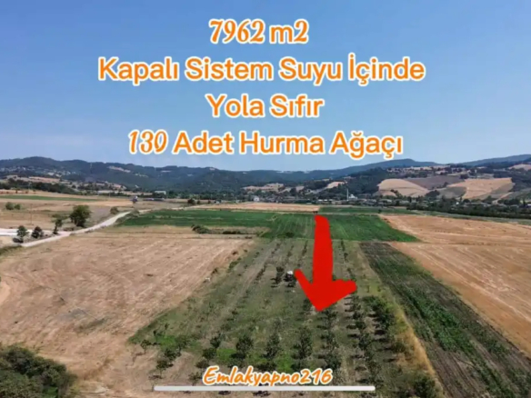EMLAKYAPTAN GÖNEN TÜTÜNCÜ KÖYÜNDE 7962 m2 YOLA SIFIR, SUYU İÇİNDE TARLA