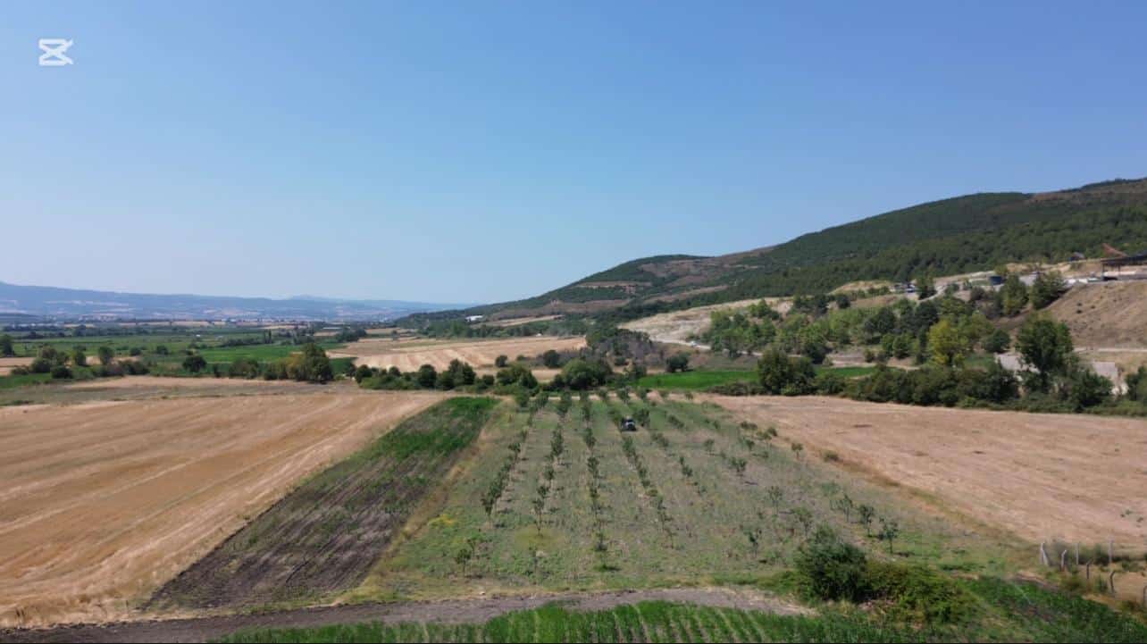 EMLAKYAPTAN GÖNEN TÜTÜNCÜ KÖYÜNDE 7962 m2 YOLA SIFIR, SUYU İÇİNDE TARLA