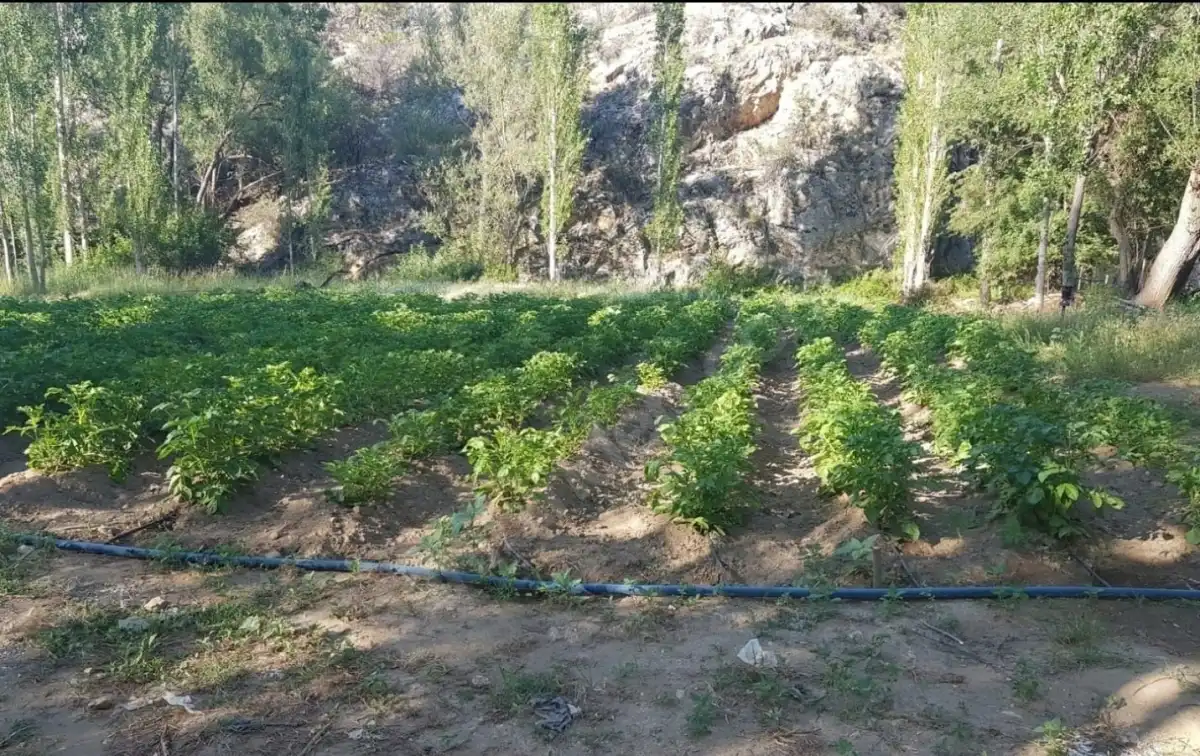 EMLAKYAP’TAN BOZKIR’DA SATILIK MUSTAKİL TAPULU ARSA